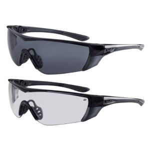 ESS ICE 2LS アイス2レンズ (陸上自衛隊/迷彩/装備品/サングラス