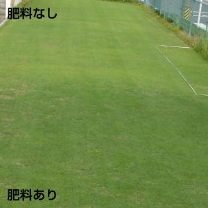 芝生 肥料 バロネス 芝生の肥料 5kg入り ...の詳細画像3