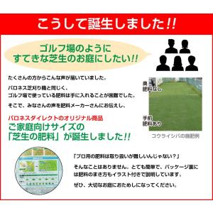 芝生 肥料 バロネス 芝生の肥料 5kg入り ...の詳細画像5