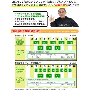 芝生 肥料 春から夏に効く液体肥料 バーディー...の詳細画像4
