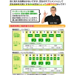 芝生 肥料 春から夏に効く液体肥料 バーディー...の詳細画像4