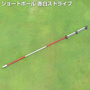 コンパクションメーター 山中式普及型土壌硬度計 : 芝生のことなら