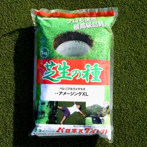 芝生 種 寒地型芝 ペレニアルライグラス アメ...の詳細画像1