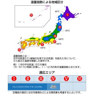 芝生 種 寒地型芝 ペレニアルライグラス アメ...の詳細画像4