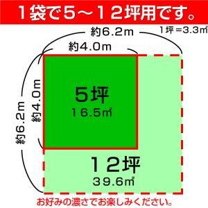芝生 種 寒地型芝 ペレニアルライグラス アメ...の詳細画像3