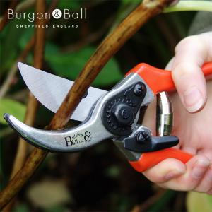 英国ブランド Burgon&Ball バイパスタイプ 剪定はさみ 替え刃スプリング付き オレンジ MAX25mmの商品画像