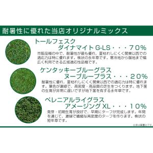 芝生 種 寒地型 耐暑性に優れた特選ミックス ...の詳細画像2