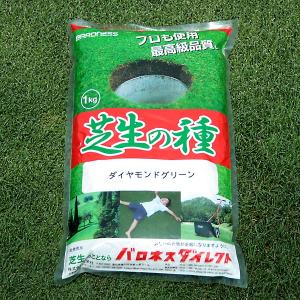 芝生 種 寒地型 耐暑性に優れた特選ミックス ...の詳細画像4