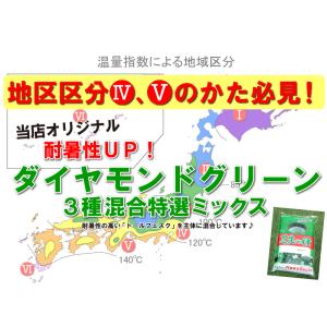 芝生 種 寒地型 耐暑性に優れた特選ミックス ...の詳細画像5