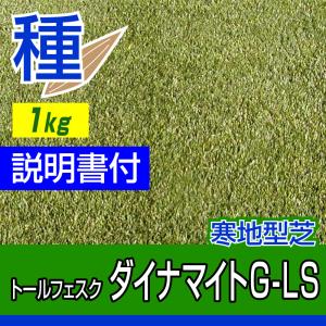 芝生 種 トールフェスク ダイナマイトG-LS 1kg