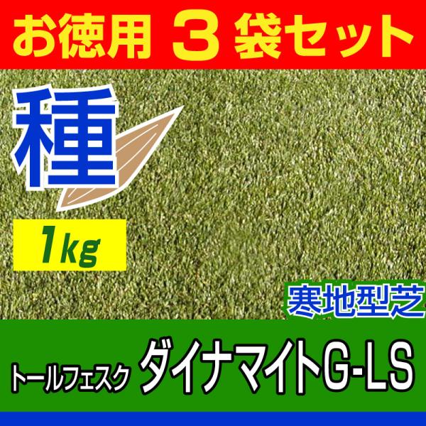 芝生 種 トールフェスク ダイナマイトG-LS 1kg お徳用3袋セット