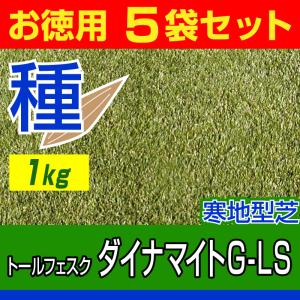 芝生 種 トールフェスク ダイナマイトG-LS 1kg お徳用5袋セット｜baroness