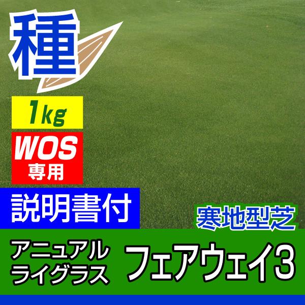 芝 芝生 種 寒地型 WOS用 アニュアルライグラス フェアウェイ3 クイックドロー 1kg