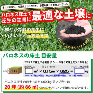 芝生 目土 バロネス 芝生の目土・床土 6,0...の詳細画像3