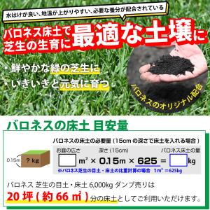芝生 目土 バロネス 芝生の目土・床土 12,...の詳細画像3