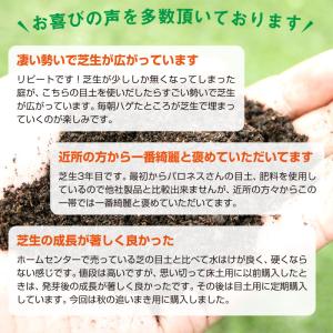芝生 目土 バロネス 芝生の目土・床土 10k...の詳細画像3