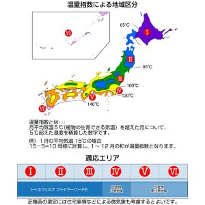 芝生 種 トールフェスク ファイヤーバード2 ...の詳細画像3
