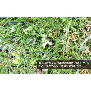 除草剤散布用 飛散防止カバー 泡除草噴口の詳細画像4