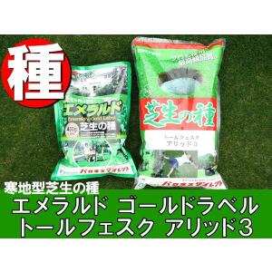 【特選ミックス】エメラルド＆トールフェスク アリッド３ お庭の広さ6〜9坪用セット 寒地型芝生の種 園芸 発芽適温摂氏15〜25度程度