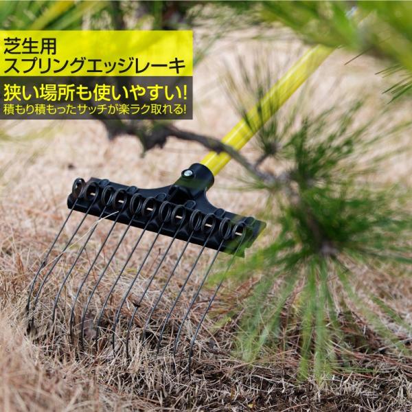 芝生用スプリングエッジレーキ 熊手 爪幅22cm 爪数12本