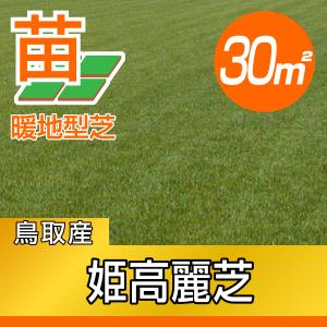 3０平米 姫高麗芝 鳥取産 張り芝用 30平米 9坪分 プレミアム苗 暖地型 天然芝 産地直送