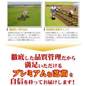 お届け9月3日〜27日の間になります 30平米...の詳細画像4