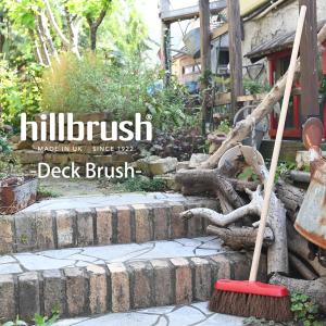 英国 hillbrush ヒルブラシ サーモンブラシ ミディアムデッキブラシ 赤 レッド ほうき 箒 天然素材 ドライ用｜baroness