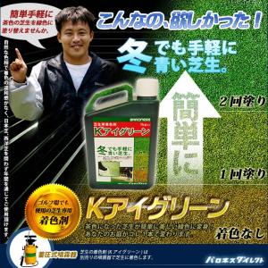 芝生 着色剤 冬も緑に バロネス Ｋアイグリーン 1kg入り｜芝生のことならバロネスダイレクト