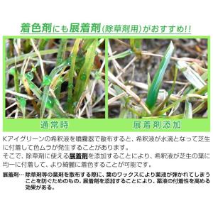 芝生 着色剤 冬も緑に バロネス Kアイグリー...の詳細画像4