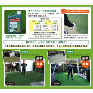 芝生 着色剤 冬も緑に バロネス Kアイグリー...の詳細画像5