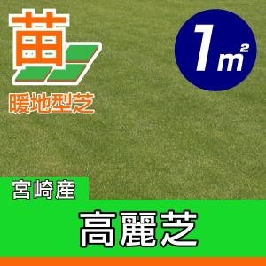 産地直送 宮崎産 高麗芝 張り芝用 １平米 0.3坪分 芝生