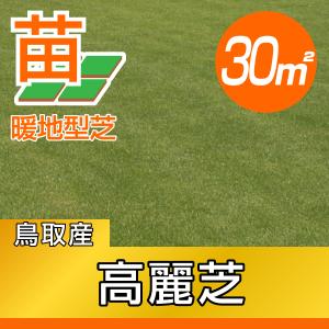 3０平米 高麗芝 鳥取産 張り芝用 30平米 9坪分 プレミアム苗 暖地型 天然芝 産地直送