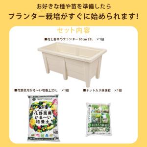 プランター園芸3点セット ホワイト 60cmプ...の詳細画像1