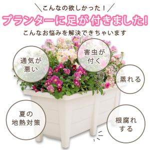 プランター園芸3点セット ホワイト 60cmプ...の詳細画像2