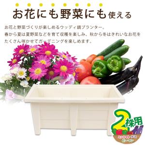 プランター園芸3点セット ホワイト 60cmプ...の詳細画像4