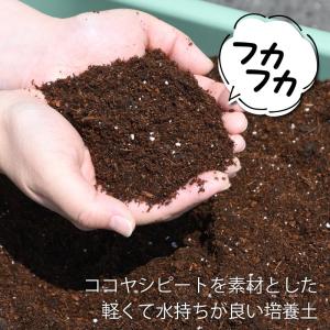 プロトリーフ 花野菜用かる〜い培養土 25L ...の詳細画像2