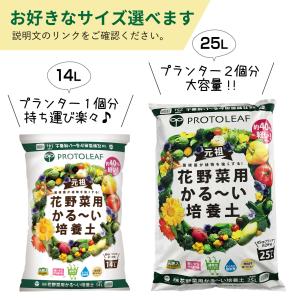 プロトリーフ 花野菜用かる〜い培養土 25L ...の詳細画像5