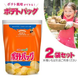 プロトリーフ カルビーポテト 袋で育てる じゃがいもの土 ポテトバック 2袋セット 12L×2 元肥入り 家庭菜園 ベランダ菜園 ポテトバッグ｜baroness