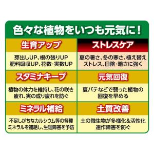 KINCHO園芸 X-ENERGY ロング 粒...の詳細画像2