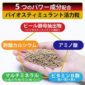 KINCHO園芸 X-ENERGY ロング 粒...の詳細画像3