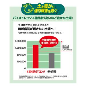 KINCHO園芸 X-ENERGY ロング 粒...の詳細画像5