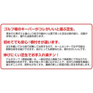 次回2027年春販売予定 10平米 ナルオター...の詳細画像5