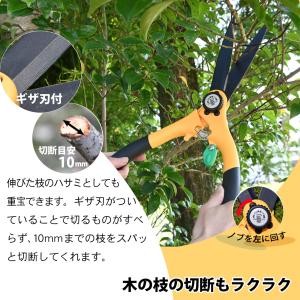 サボテン 芝生ハサミ 両手タイプ 芝生鋏 はさ...の詳細画像3