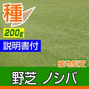 芝 芝生 種 暖地型 Benidai ノシバ 200g入 お庭の広さ2.4〜3.6坪用