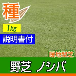 芝 芝生 種 暖地型 Benidai ノシバ 1kg入 12〜18坪用 多年草｜baroness