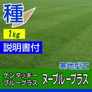 芝 芝生 種 寒地型芝 ケンタッキーブルーグラス ヌーブループラス 1kg入｜芝生のことならバロネスダイレクト