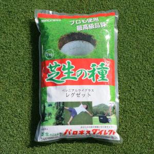 芝 芝生 種 寒地型 WOS用 ペレニアルライ...の詳細画像1