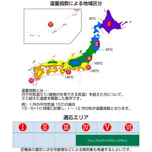 芝 芝生 種 寒地型 WOS用 ペレニアルライ...の詳細画像5