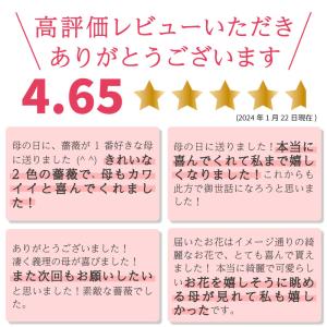 母の日 花 バラ 鉢植え ギフト 2色植え 幻...の詳細画像2