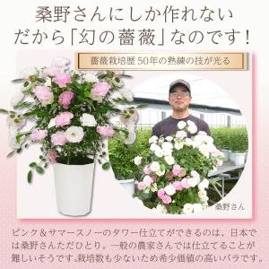 母の日 花 バラ 鉢植え ギフト 2色植え 幻...の詳細画像4